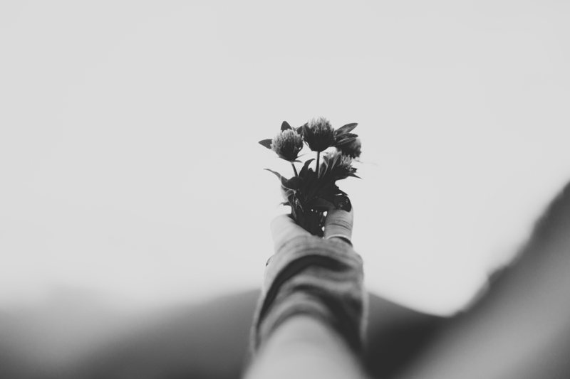 Human Story Main image, hand with flowers