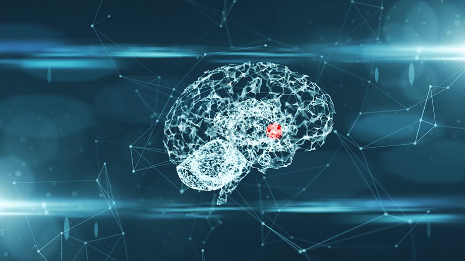 Nucleus Accumbens